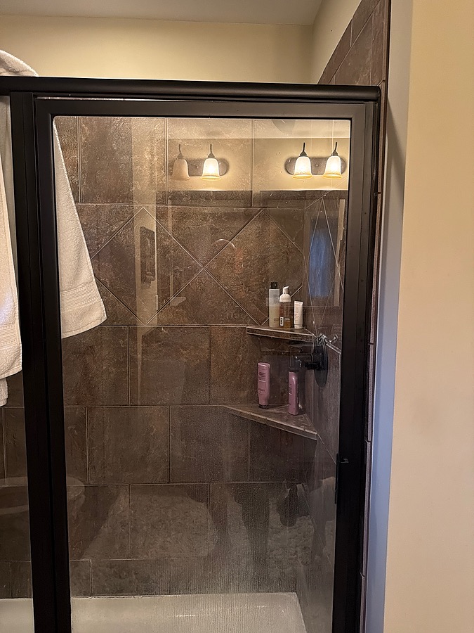 Shower Door