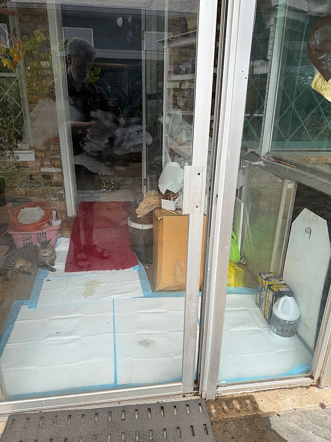 Door