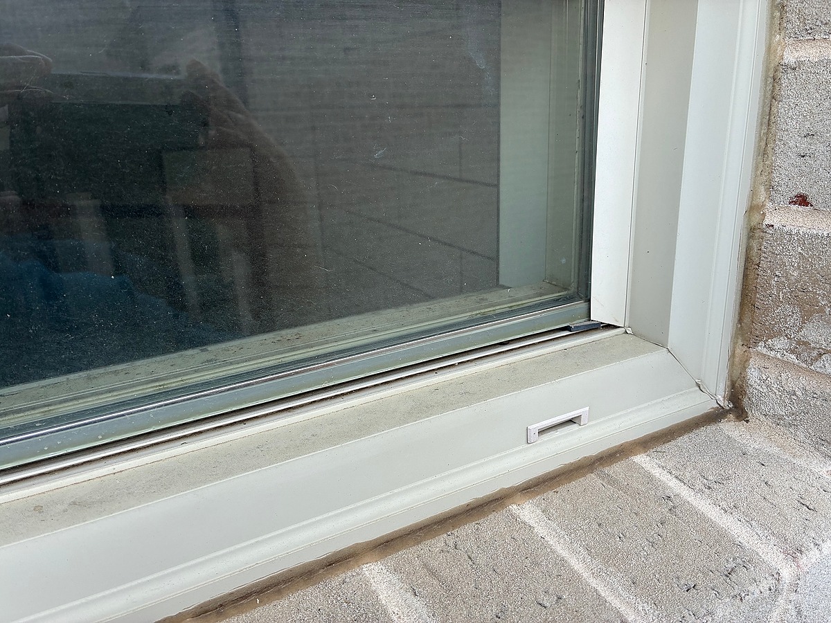 Window
