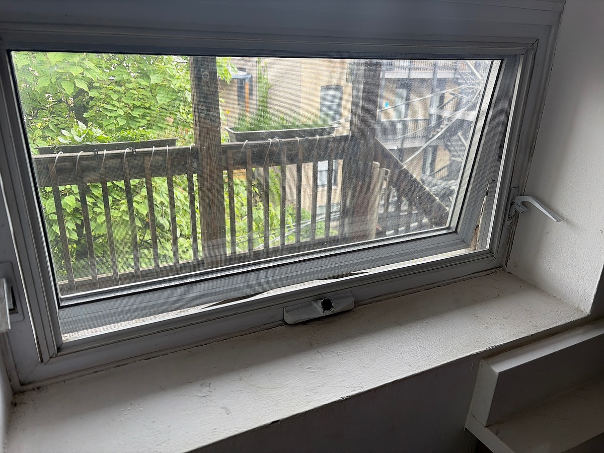 Window