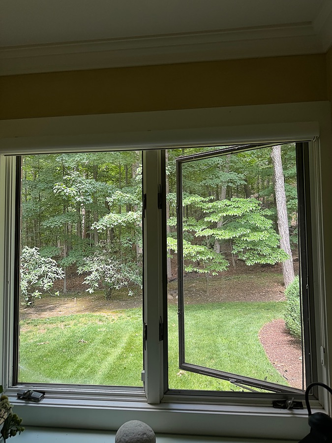 Windows