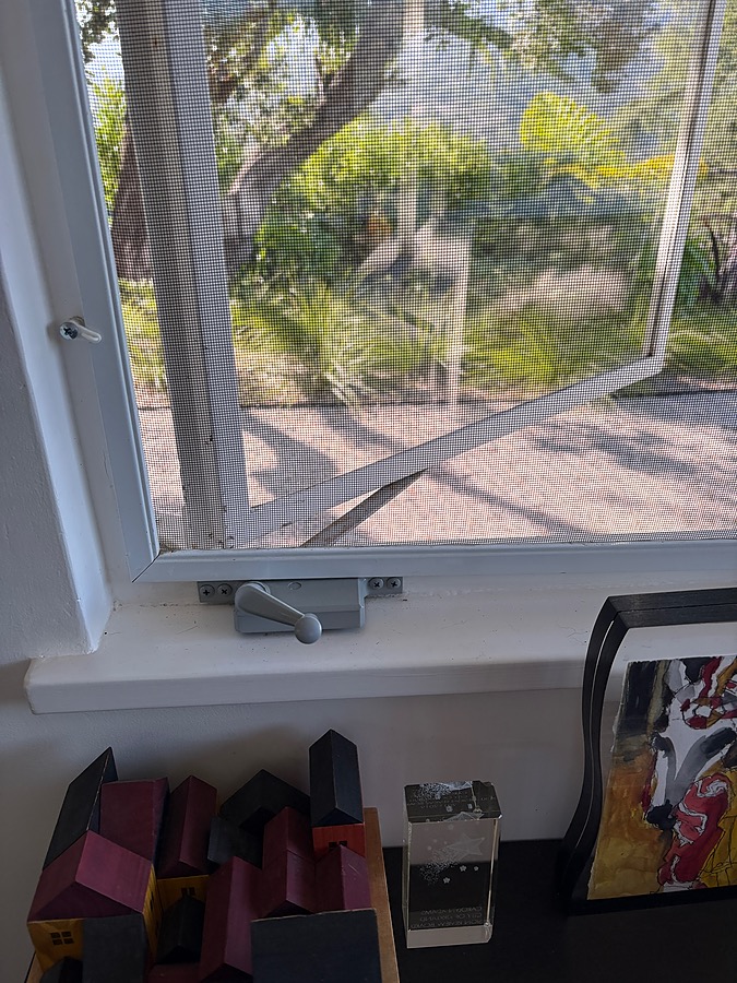 Window