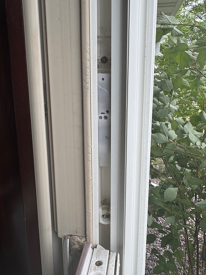 IMG_9550