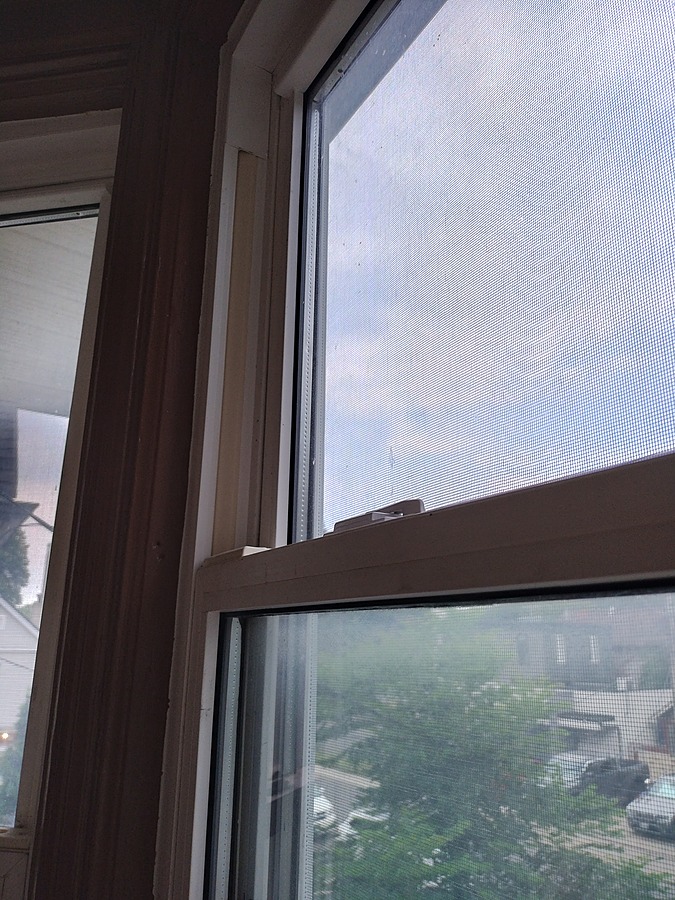 IMG_20260801_072534412_HDR