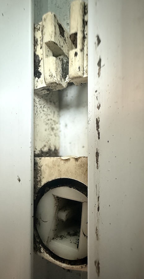 PivotLockShoe1