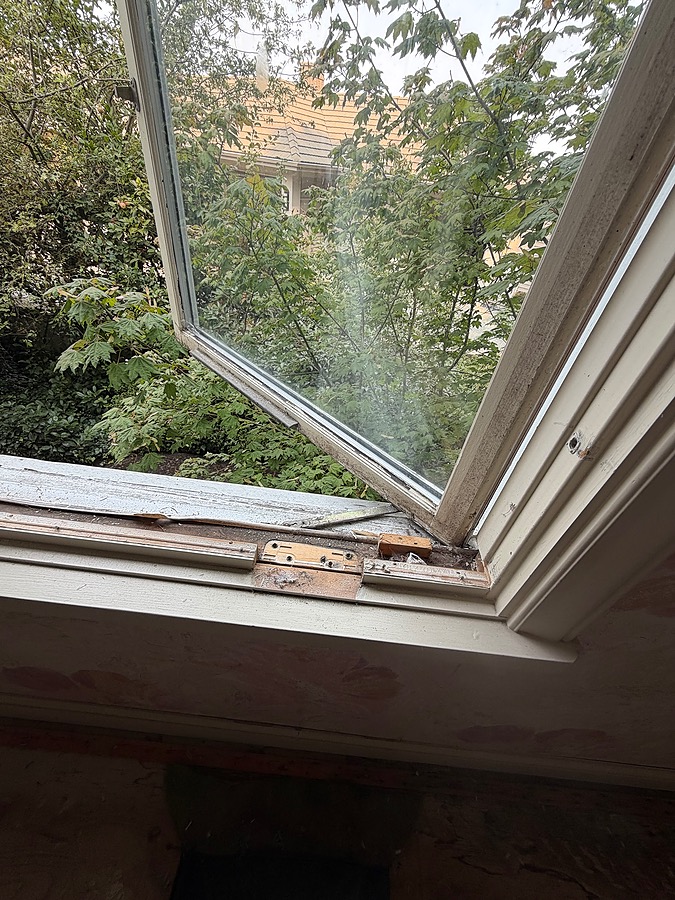 Window