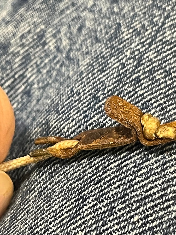 Hook