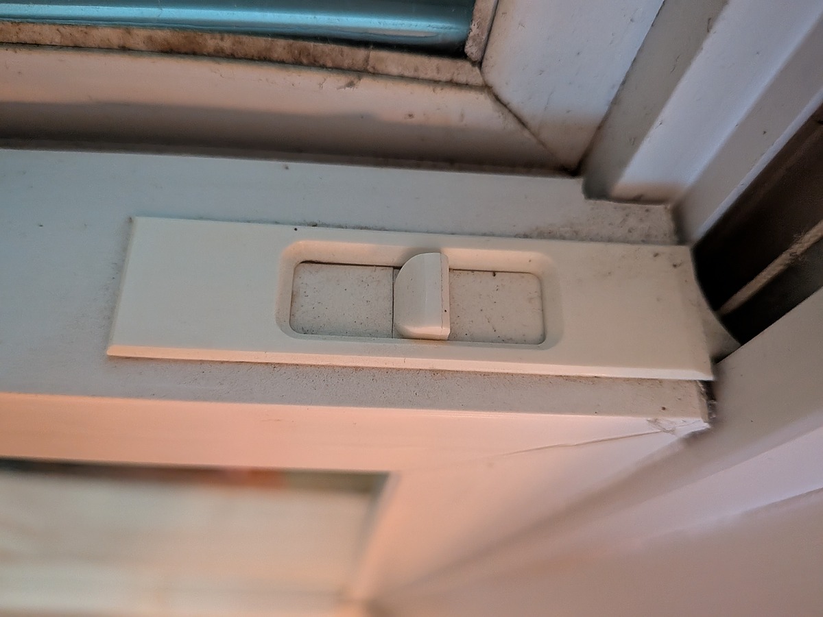PXL_20260910_215919244.MACRO_FOCUS