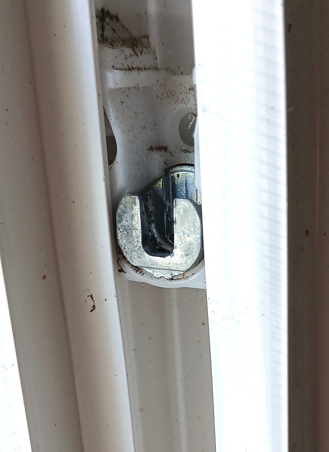 Window5