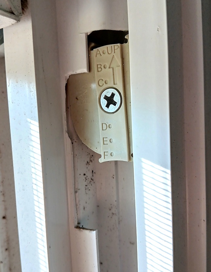 Window4