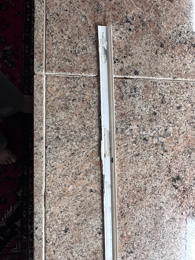 IMG_4453