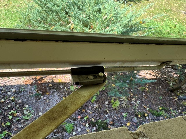 window4