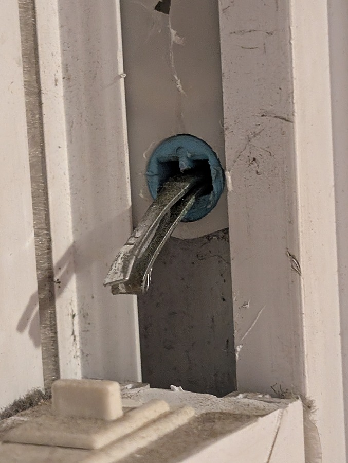 PXL_20261001_233111223